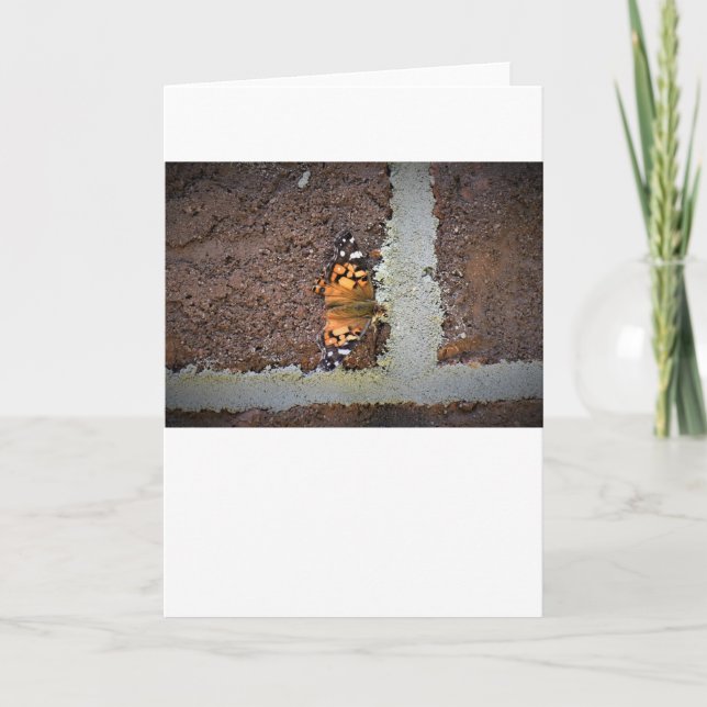 Schmetterling, Karte (Vorderseite)