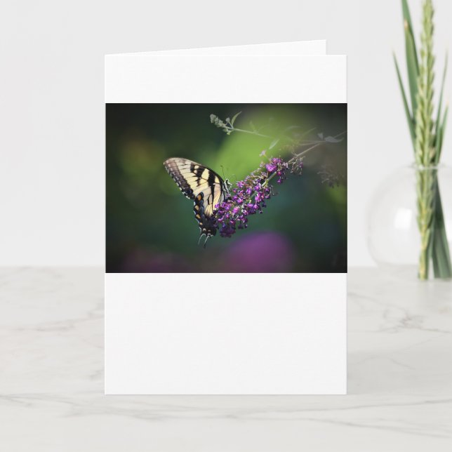 Schmetterling, Karte (Vorderseite)