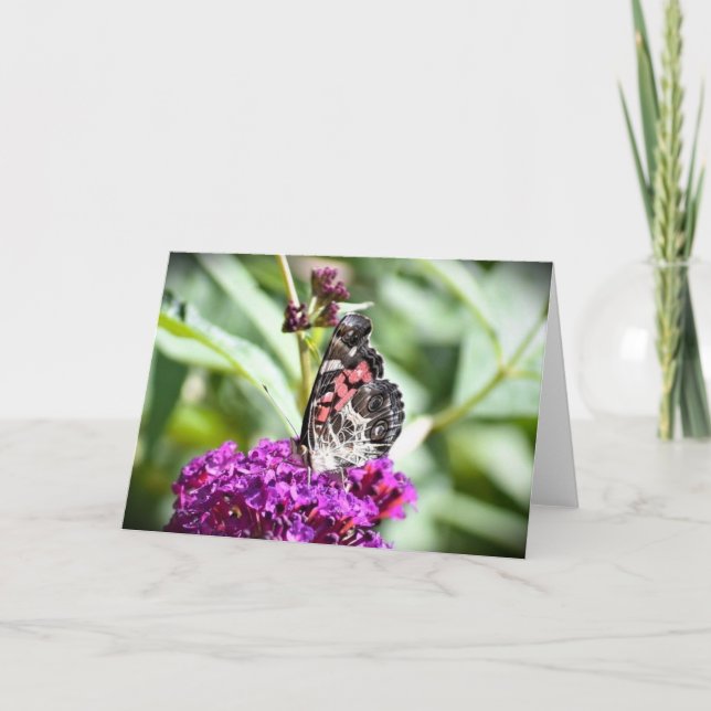 Schmetterling, Karte (Vorderseite)