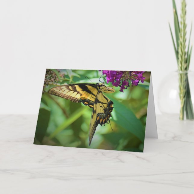 Schmetterling, Karte (Vorderseite)