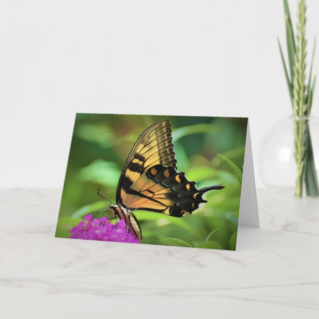 Schmetterling, Karte (Vorderseite)