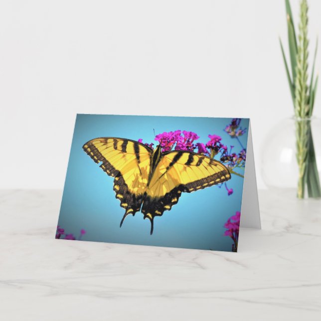 Schmetterling, Karte (Vorderseite)