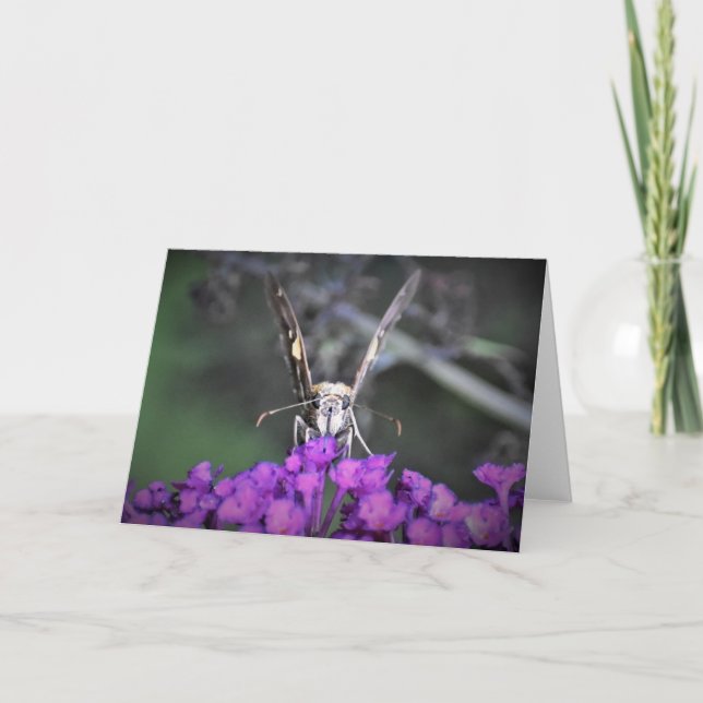Schmetterling, Karte (Vorderseite)