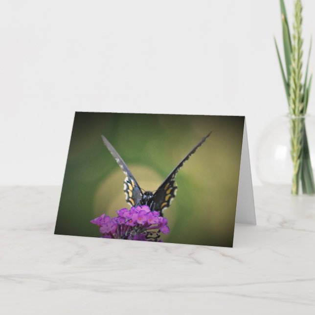 Schmetterling, Karte (Vorderseite)