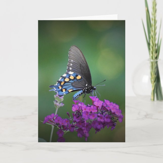 Schmetterling, Karte (Vorderseite)