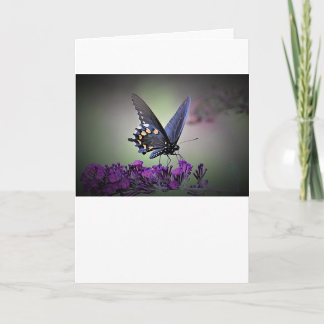 Schmetterling, Karte (Vorderseite)
