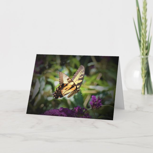 Schmetterling, Karte (Vorderseite)