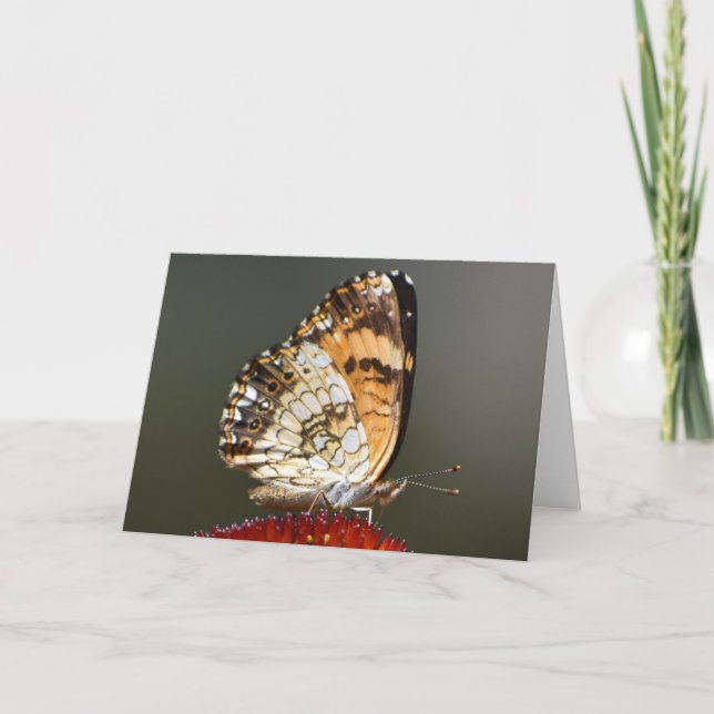 Schmetterling, Karte (Vorderseite)