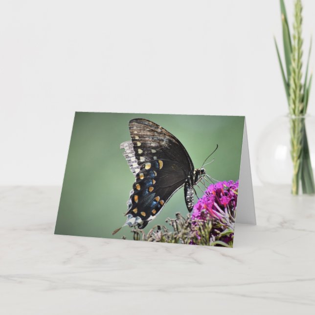 Schmetterling, Karte (Vorderseite)
