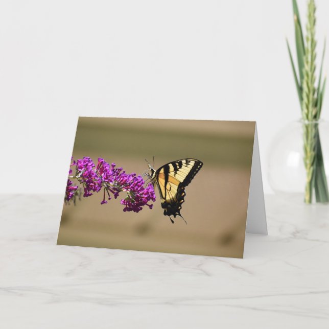 Schmetterling, Karte (Vorderseite)