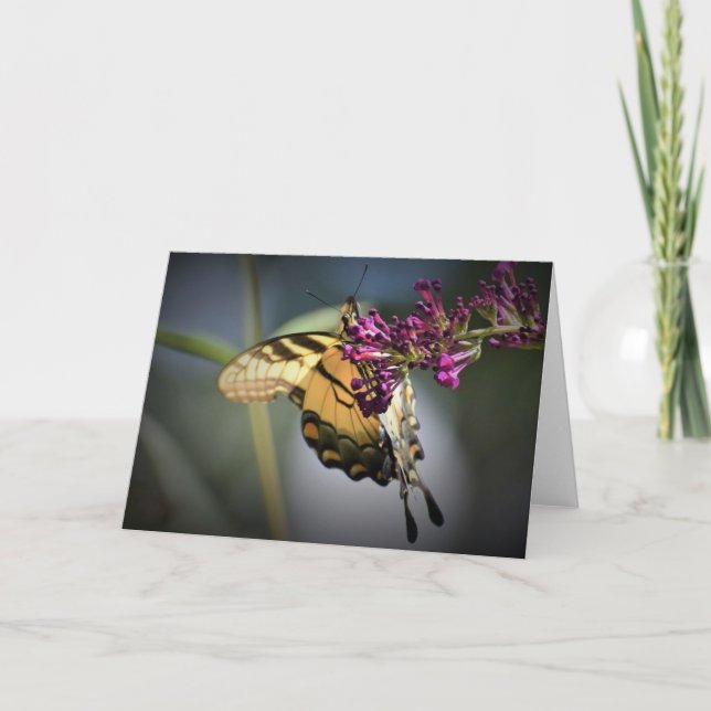 Schmetterling, Karte (Vorderseite)