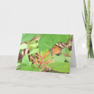 Schmetterling Karte