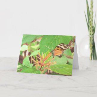 Schmetterling Karte