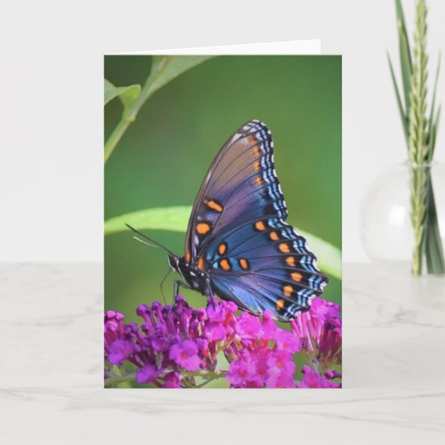 Schmetterling, Karte (Vorderseite)