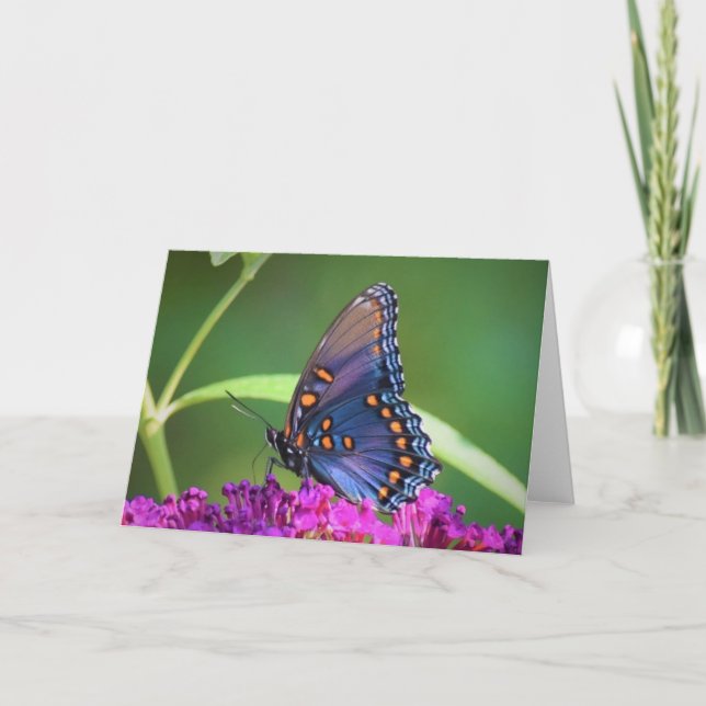 Schmetterling, Karte (Vorderseite)