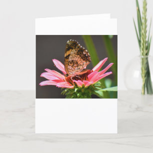 Schmetterling, Karte