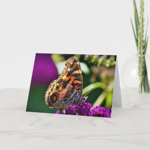 Schmetterling, Karte