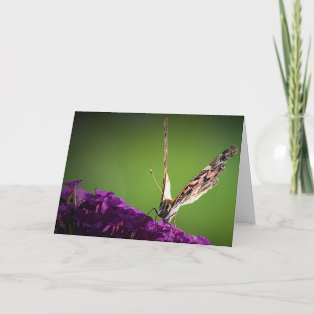 Schmetterling, Karte (Vorderseite)