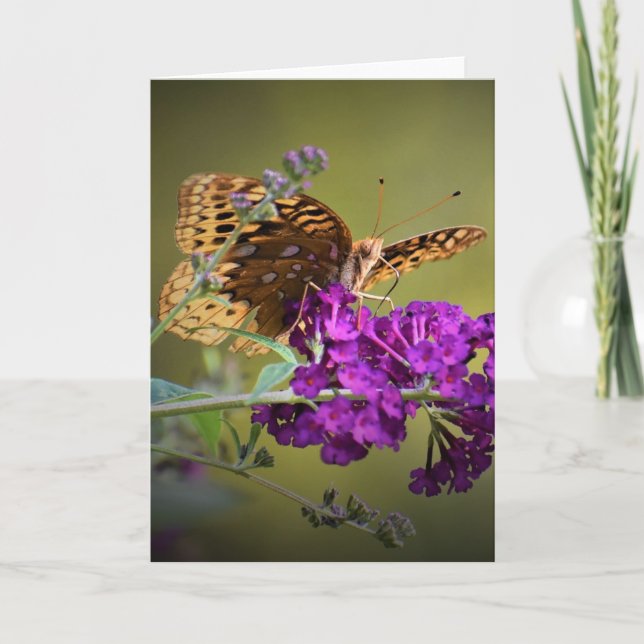 Schmetterling, Karte (Vorderseite)