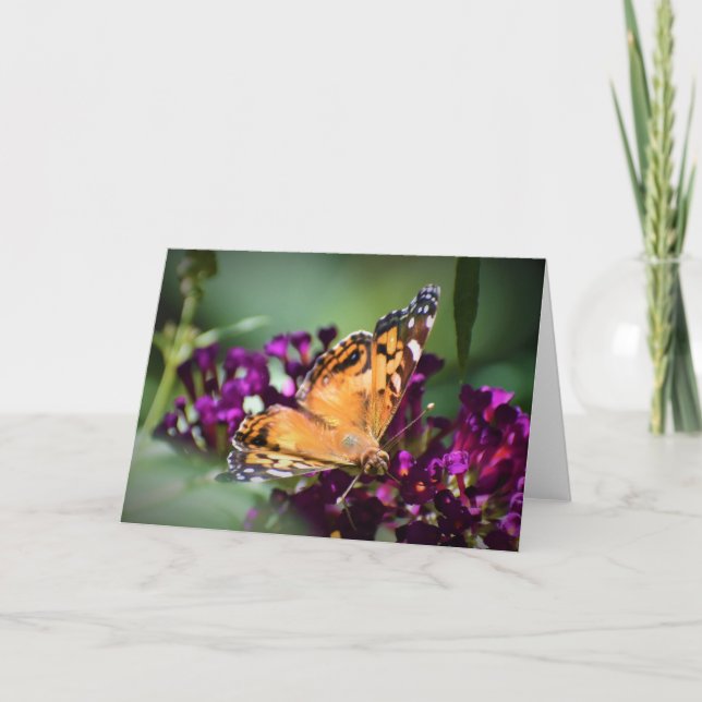 Schmetterling, Karte (Vorderseite)