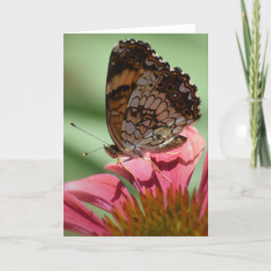 Schmetterling, Karte