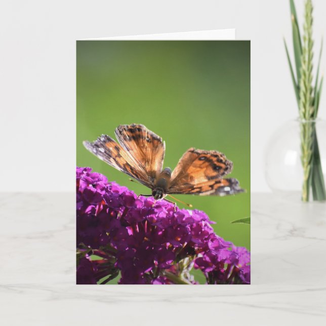 Schmetterling, Karte (Vorderseite)