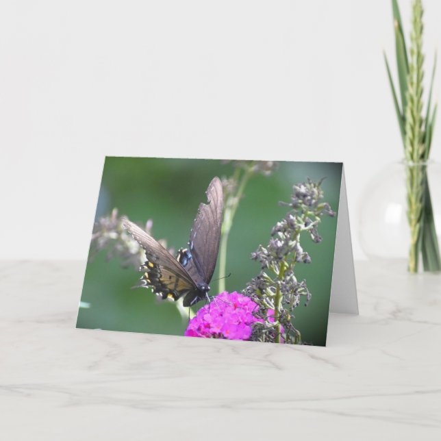 Schmetterling, Karte (Vorderseite)