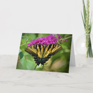 Schmetterling, Karte