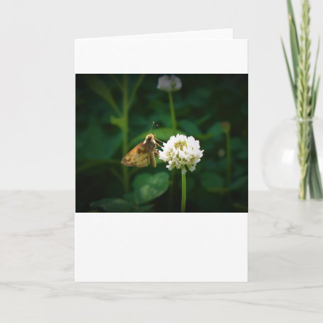 Schmetterling, Karte (Vorderseite)