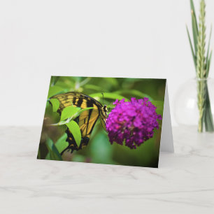 Schmetterling, Karte