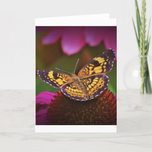 Schmetterling, Karte
