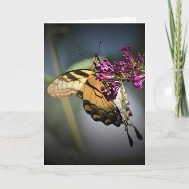 Schmetterling, Karte (Vorderseite)
