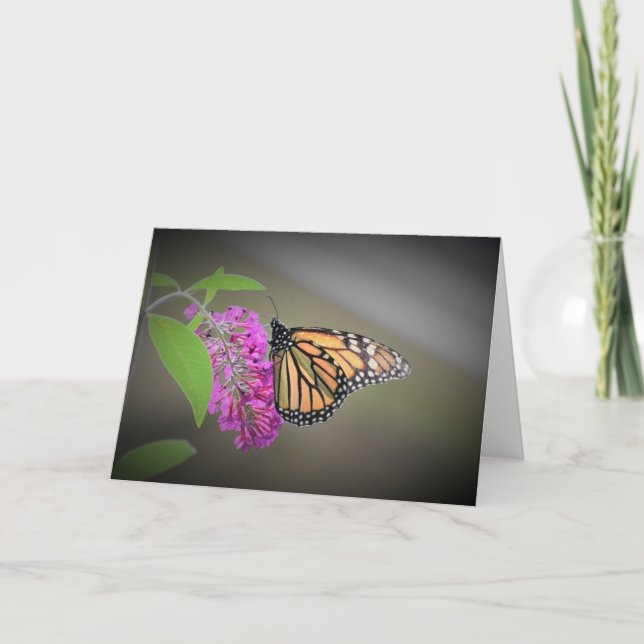 Schmetterling, Karte (Vorderseite)