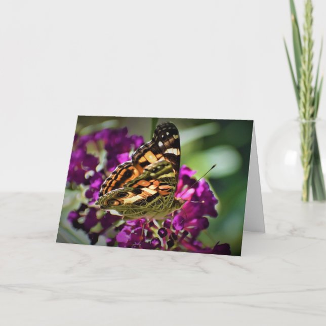 Schmetterling, Karte (Vorderseite)