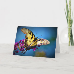 Schmetterling, Karte
