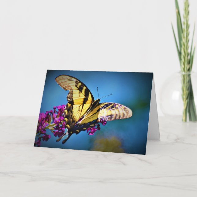 Schmetterling, Karte (Vorderseite)