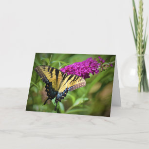 Schmetterling, Karte
