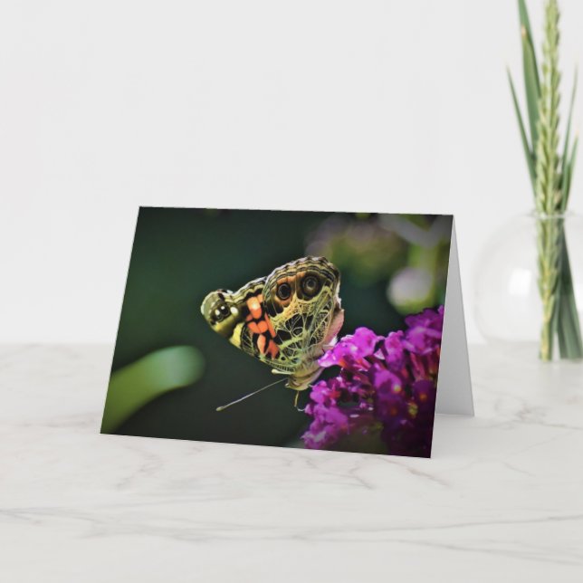 Schmetterling, Karte (Vorderseite)