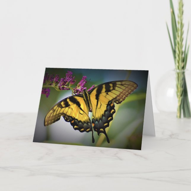 Schmetterling, Karte (Vorderseite)