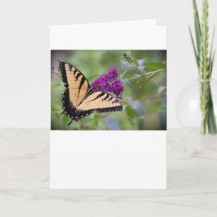 Schmetterling, Karte