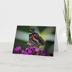 Schmetterling, Karte