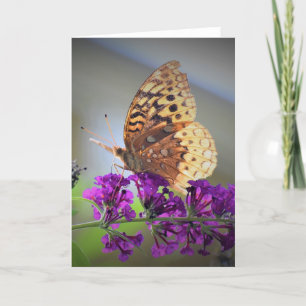 Schmetterling, Karte