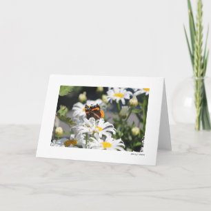 Schmetterling Karte