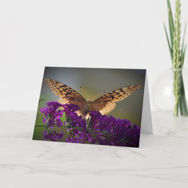 Schmetterling, Karte (Vorderseite)