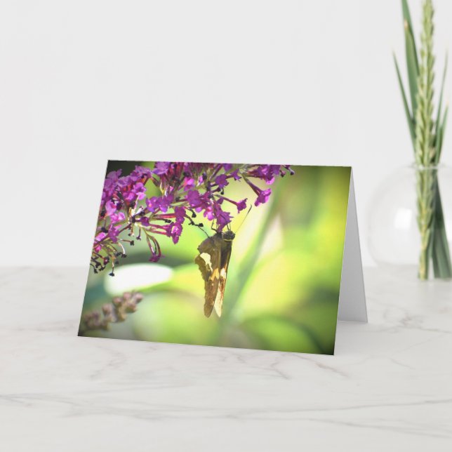 Schmetterling, Karte (Vorderseite)