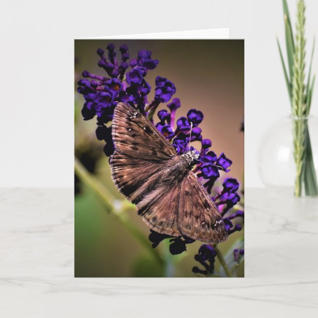 Schmetterling, Karte (Vorderseite)