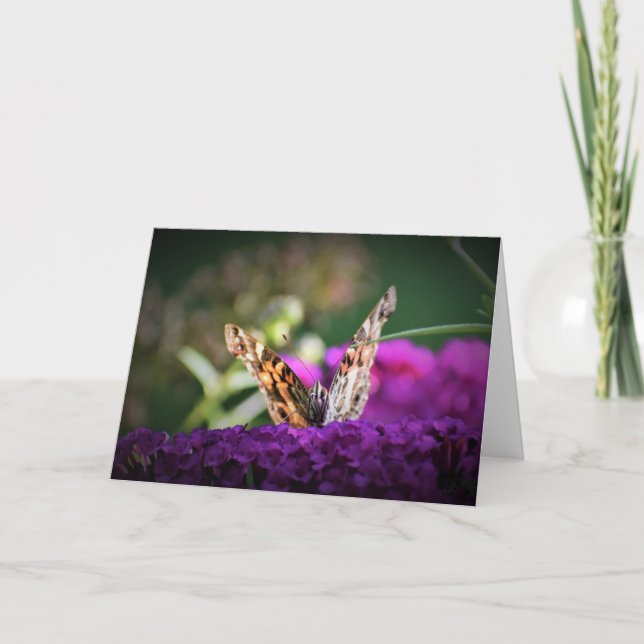 Schmetterling, Karte (Vorderseite)