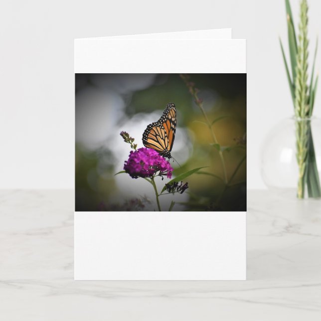 Schmetterling, Karte (Vorderseite)