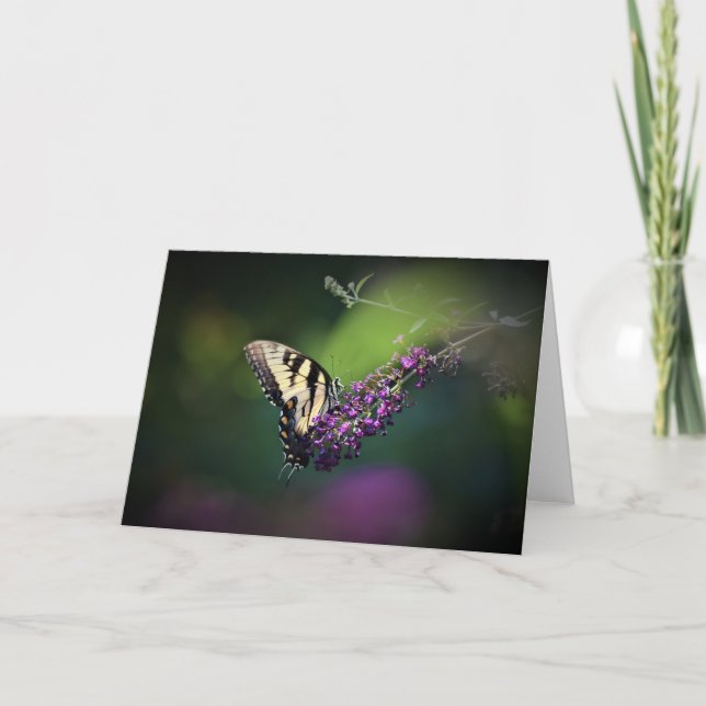 Schmetterling, Karte (Vorderseite)