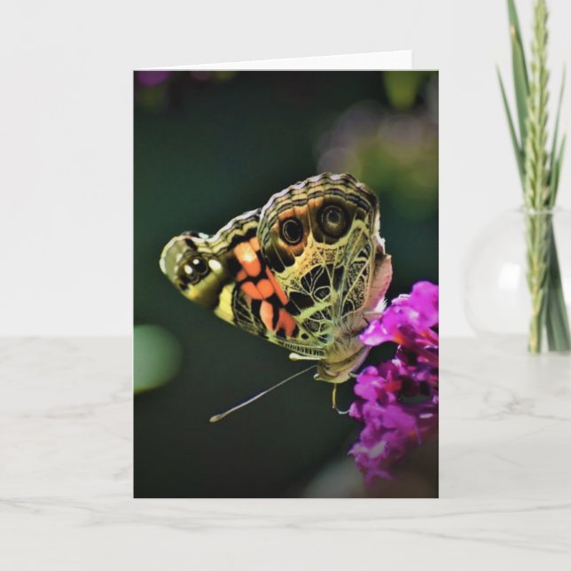 Schmetterling, Karte (Vorderseite)